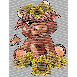 Cow-NIU 2622